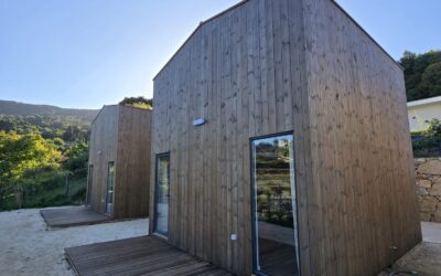 Article Test 2 activités