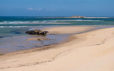 Praia de Foz do Minho & Forte da Ínsua